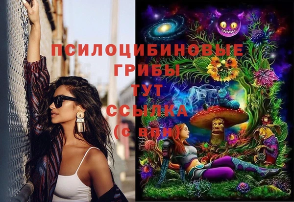 сатива Белоозёрский