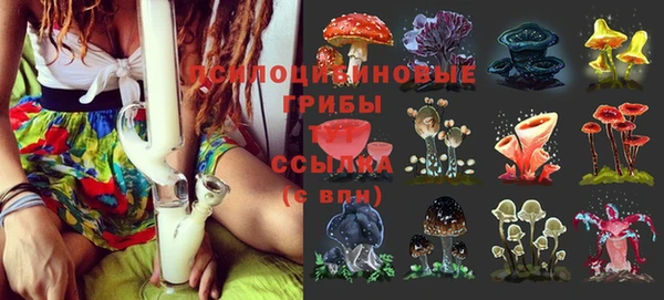 сатива Белоозёрский