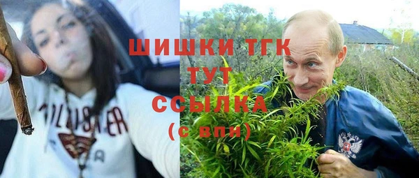 сатива Белоозёрский