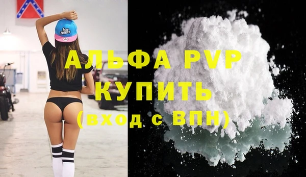 сатива Белоозёрский