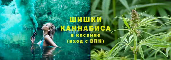 сатива Белоозёрский
