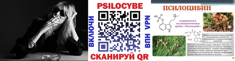 даркнет сайт  Острогожск  Псилоцибиновые грибы Psilocybine cubensis 