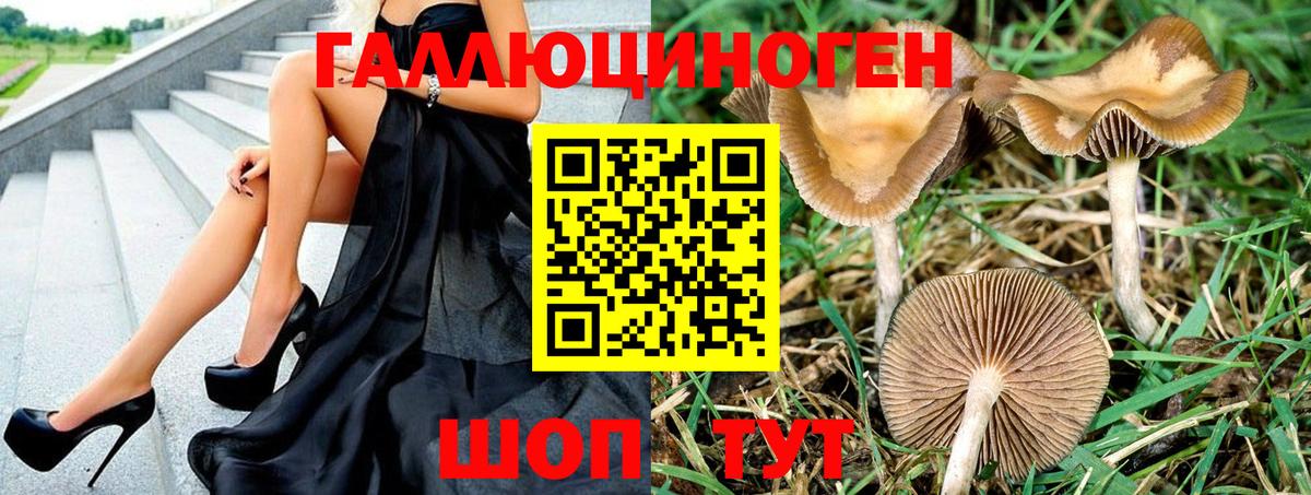 Галлюциногенные грибы мухоморы Острогожск